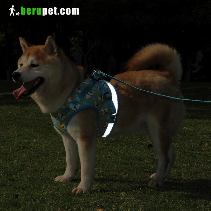 dog harness outdoor for Shiba Inu, Bomei