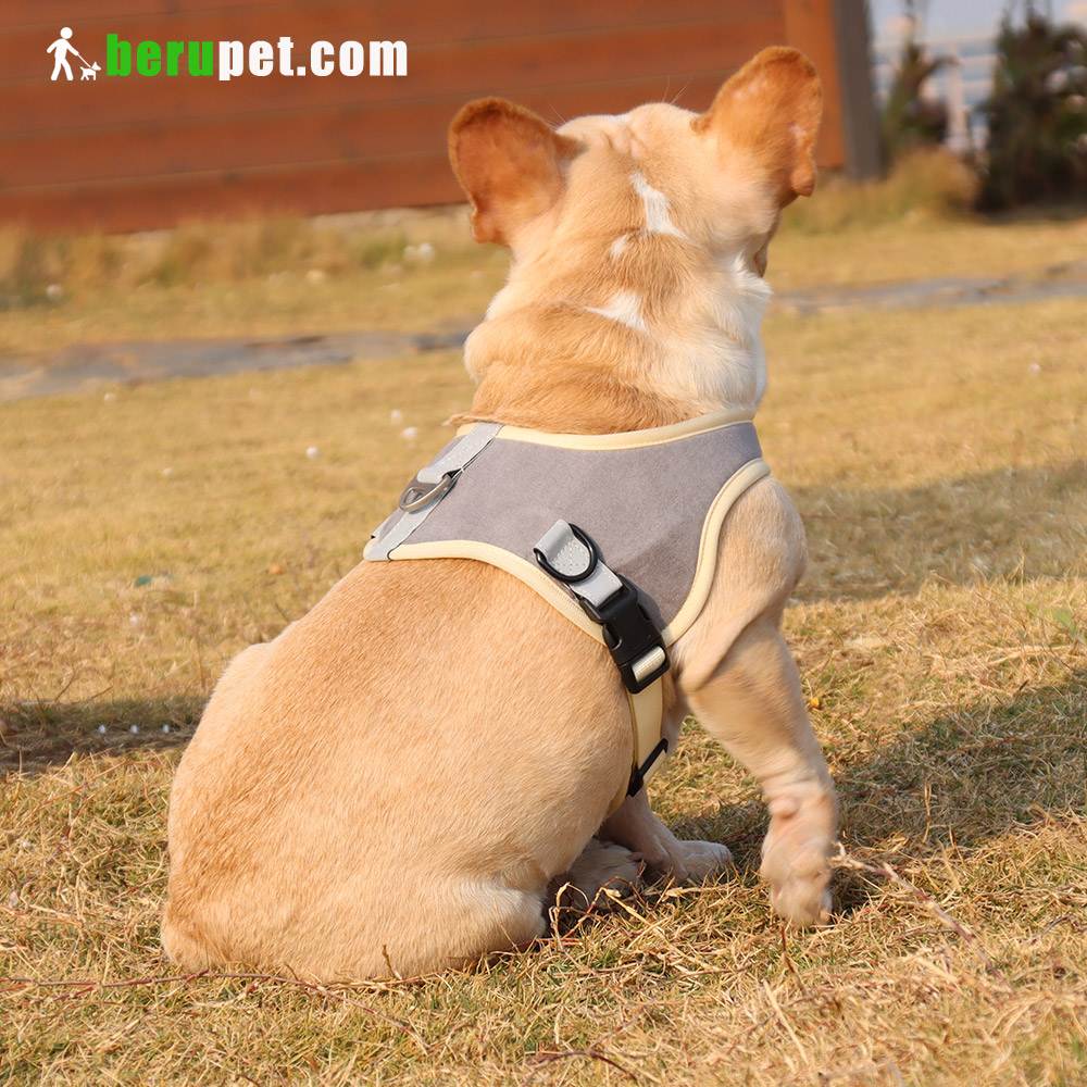 dog harness outdoor for Bulldog,Bomei