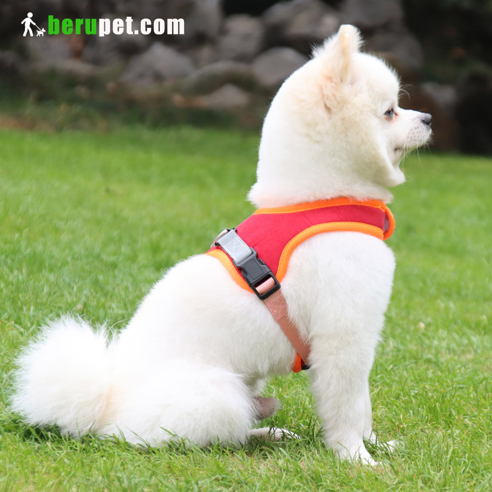 dog harness outdoor for Bulldog,Bomei