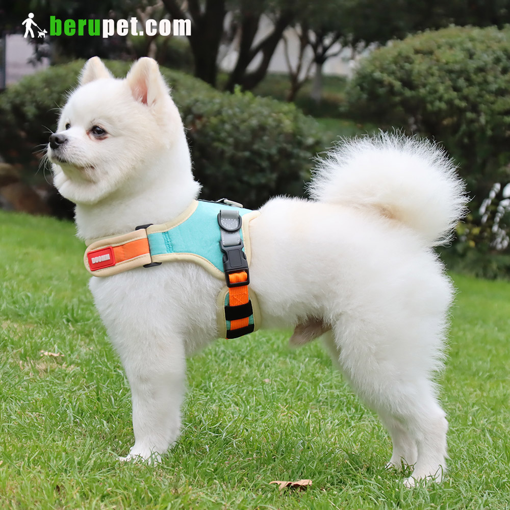dog harness outdoor for Bulldog,Bomei