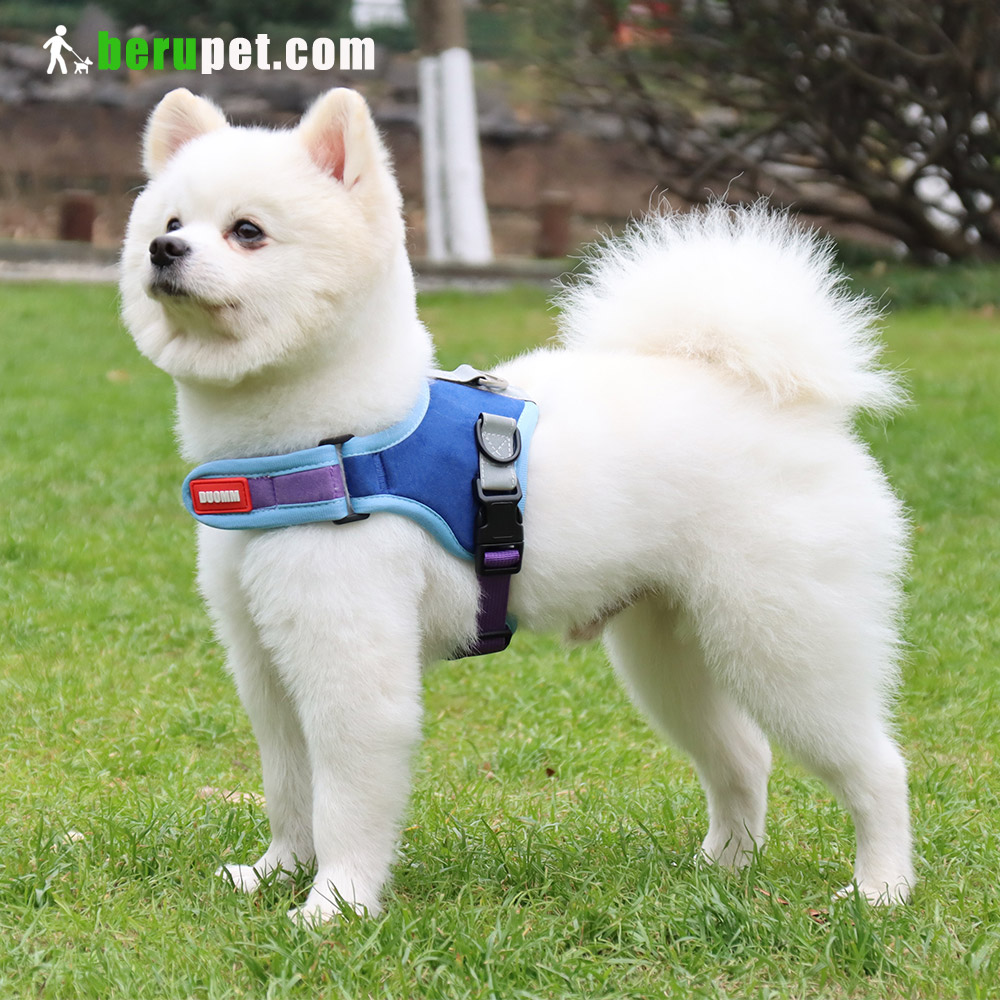 dog harness outdoor for Bulldog,Bomei