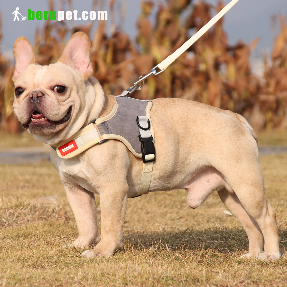 dog harness outdoor for Bulldog,Bomei