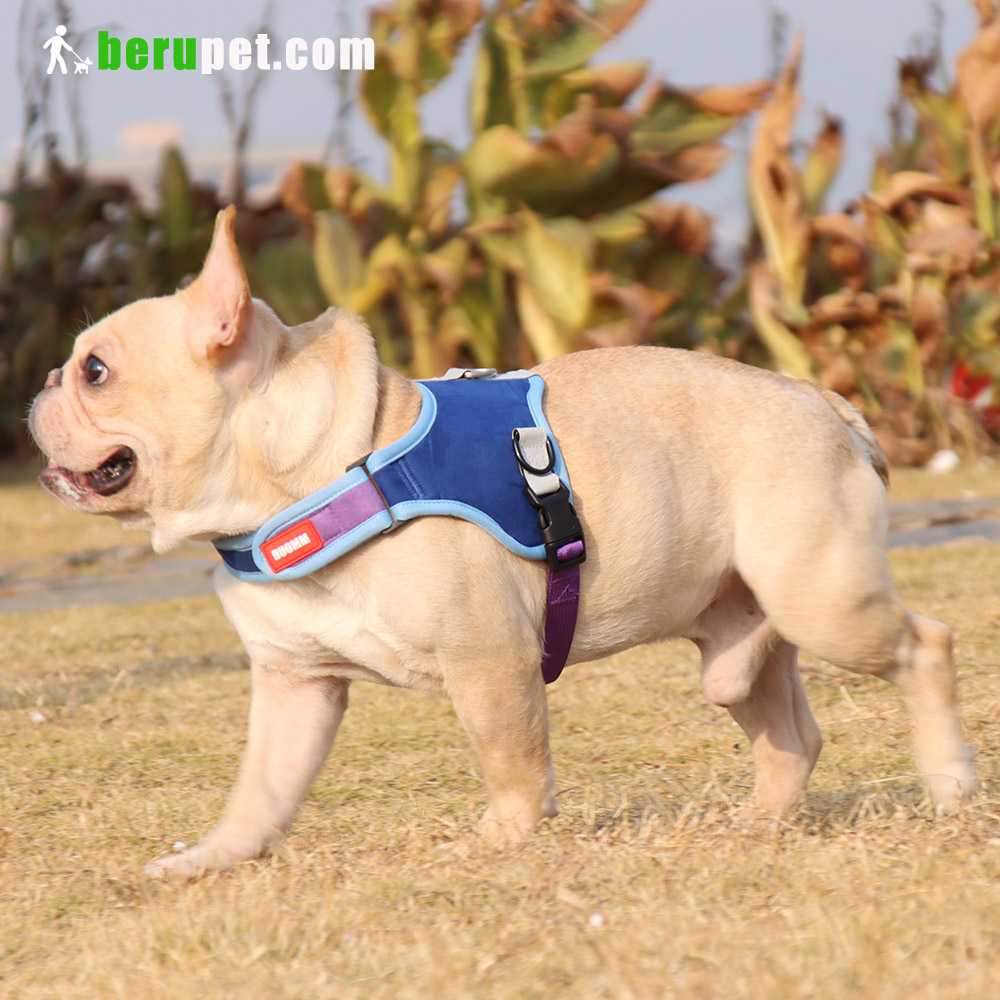 dog harness outdoor for Bulldog,Bomei