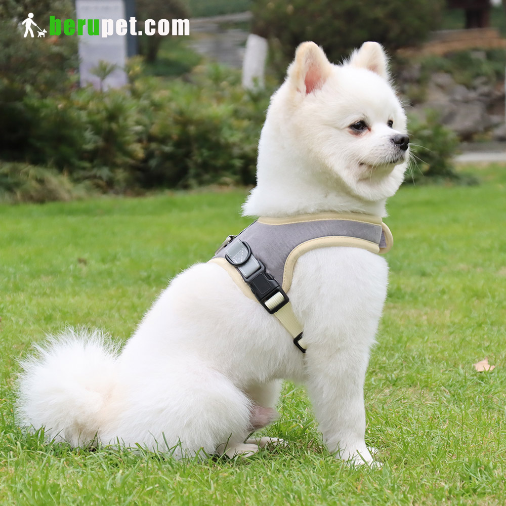 dog harness outdoor for Bulldog,Bomei