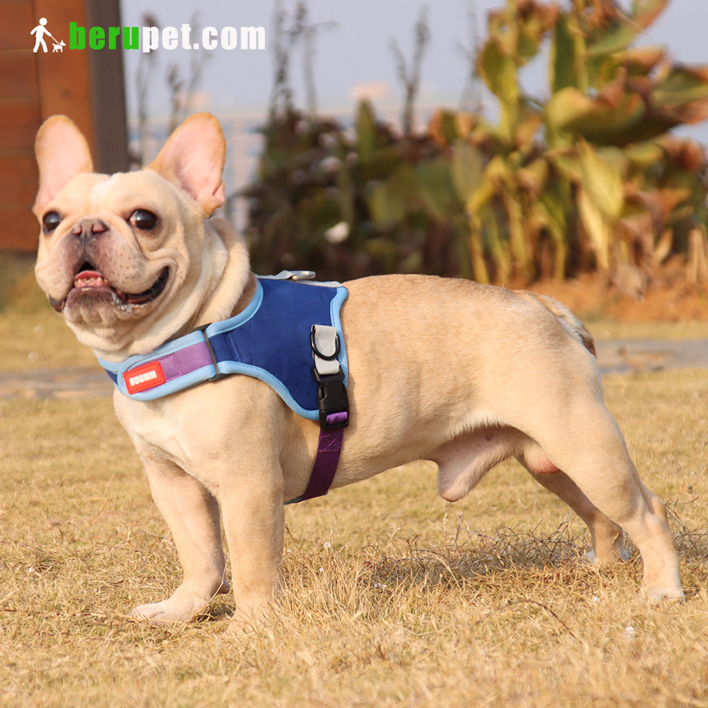 dog harness outdoor for Bulldog,Bomei