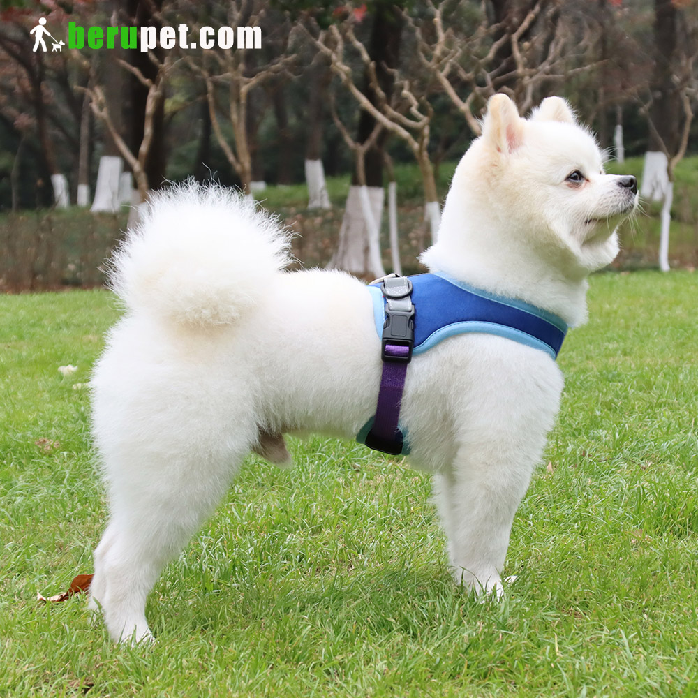 dog harness outdoor for Bulldog,Bomei