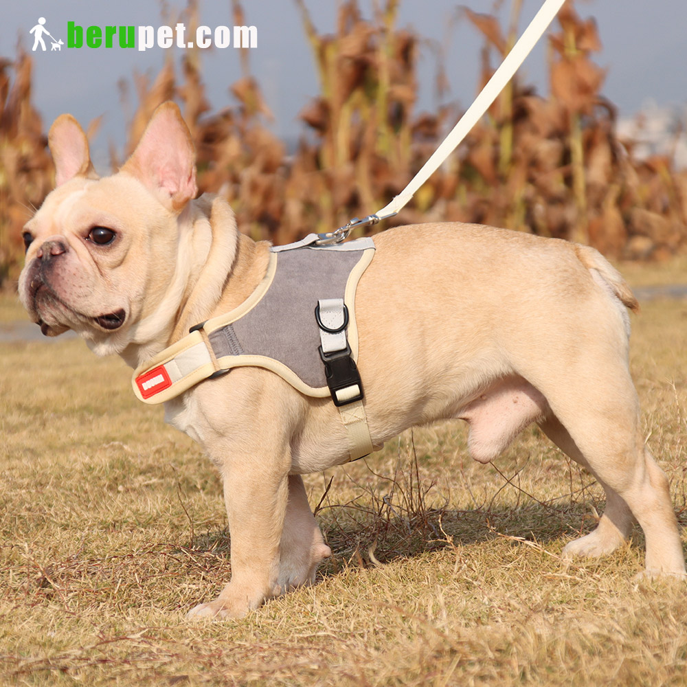dog harness outdoor for Bulldog,Bomei