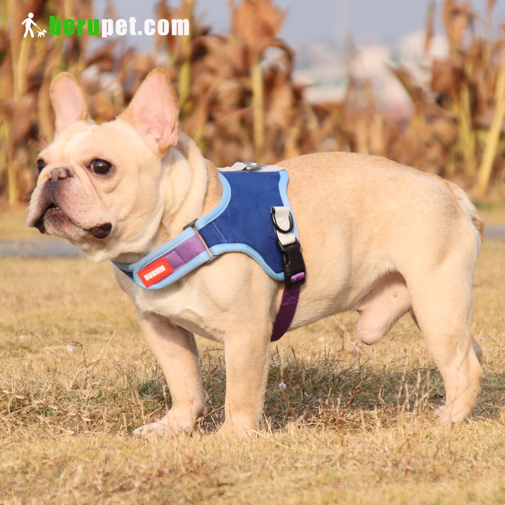 dog harness outdoor for Bulldog,Bomei