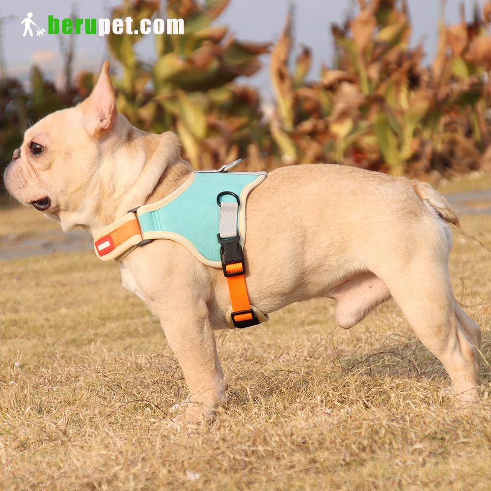 dog harness outdoor for Bulldog,Bomei