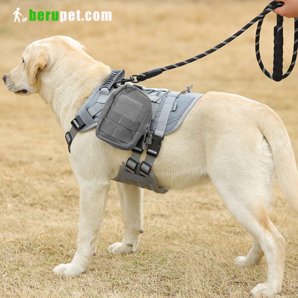 dog harness outdoor for Labrador