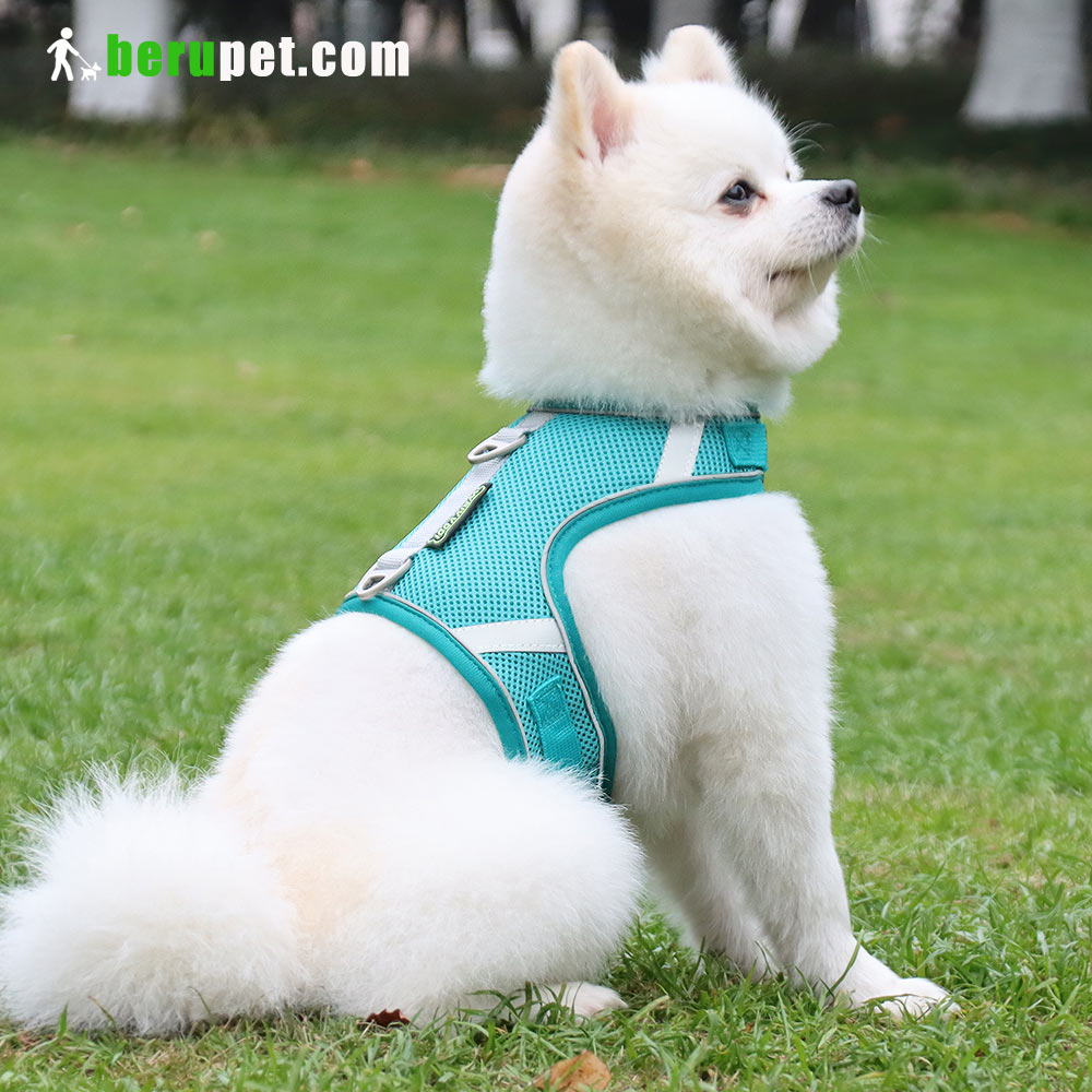 dog harness outdoor for Bomei and Cat 