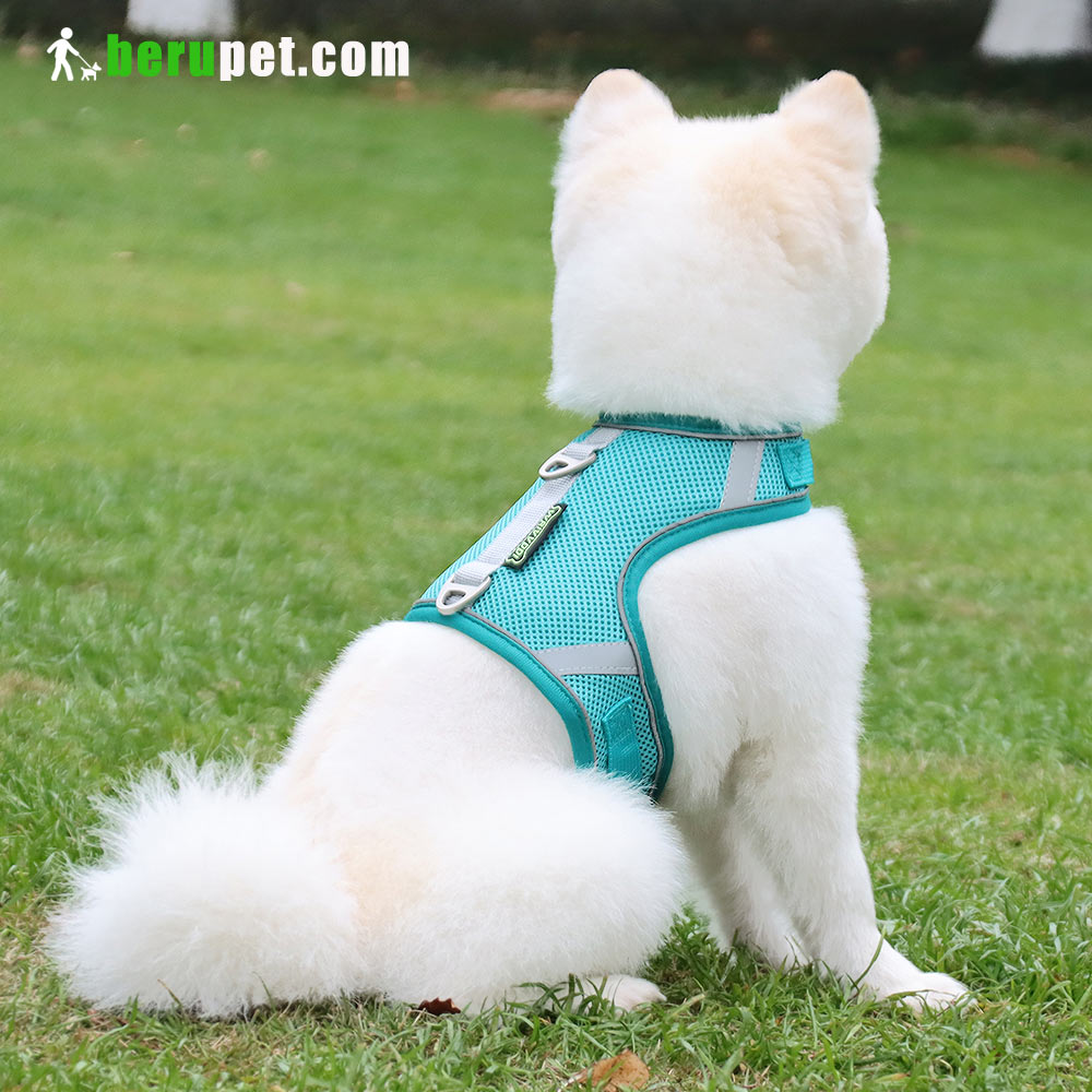 dog harness outdoor for Bomei and Cat 