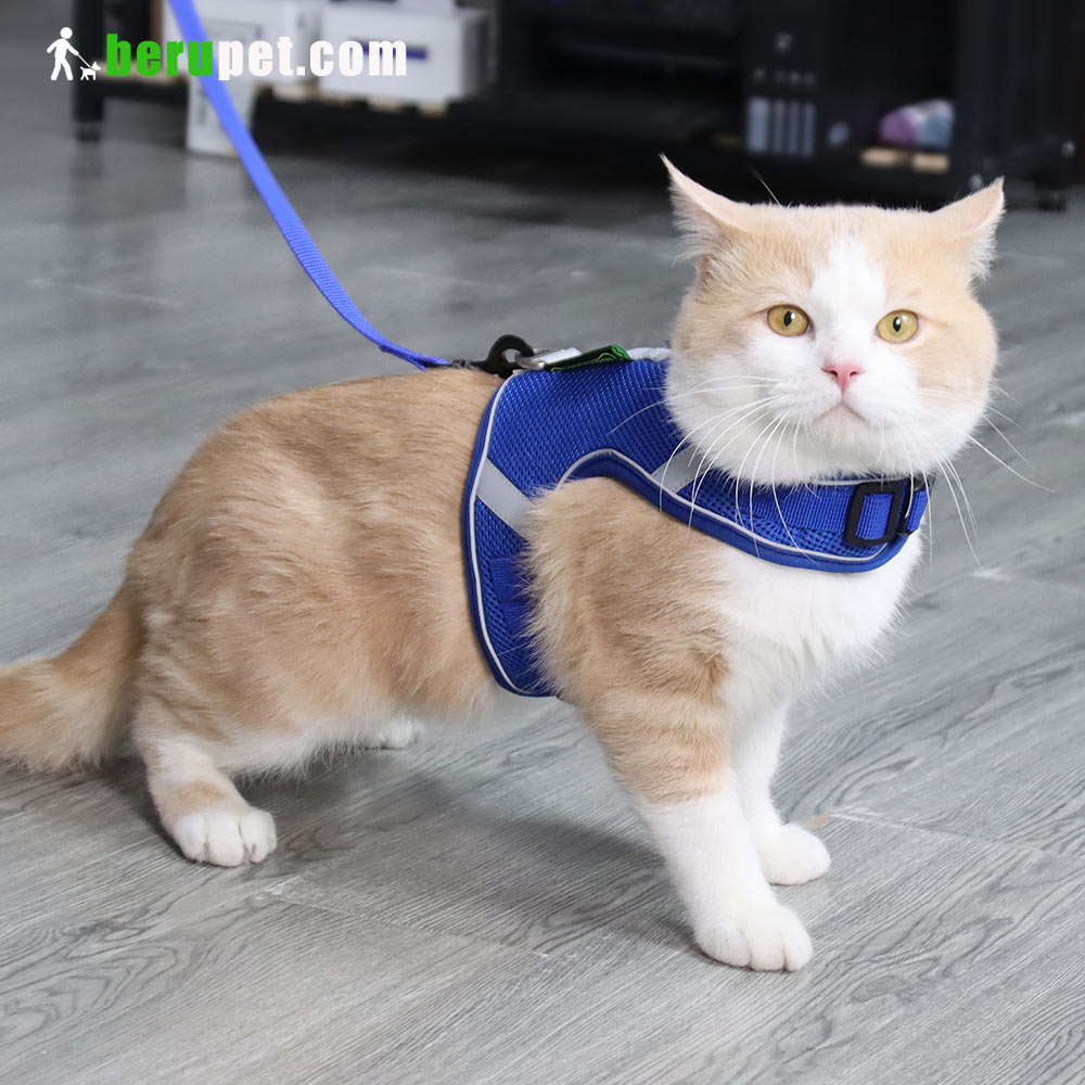 dog harness outdoor for Bomei and Cat 