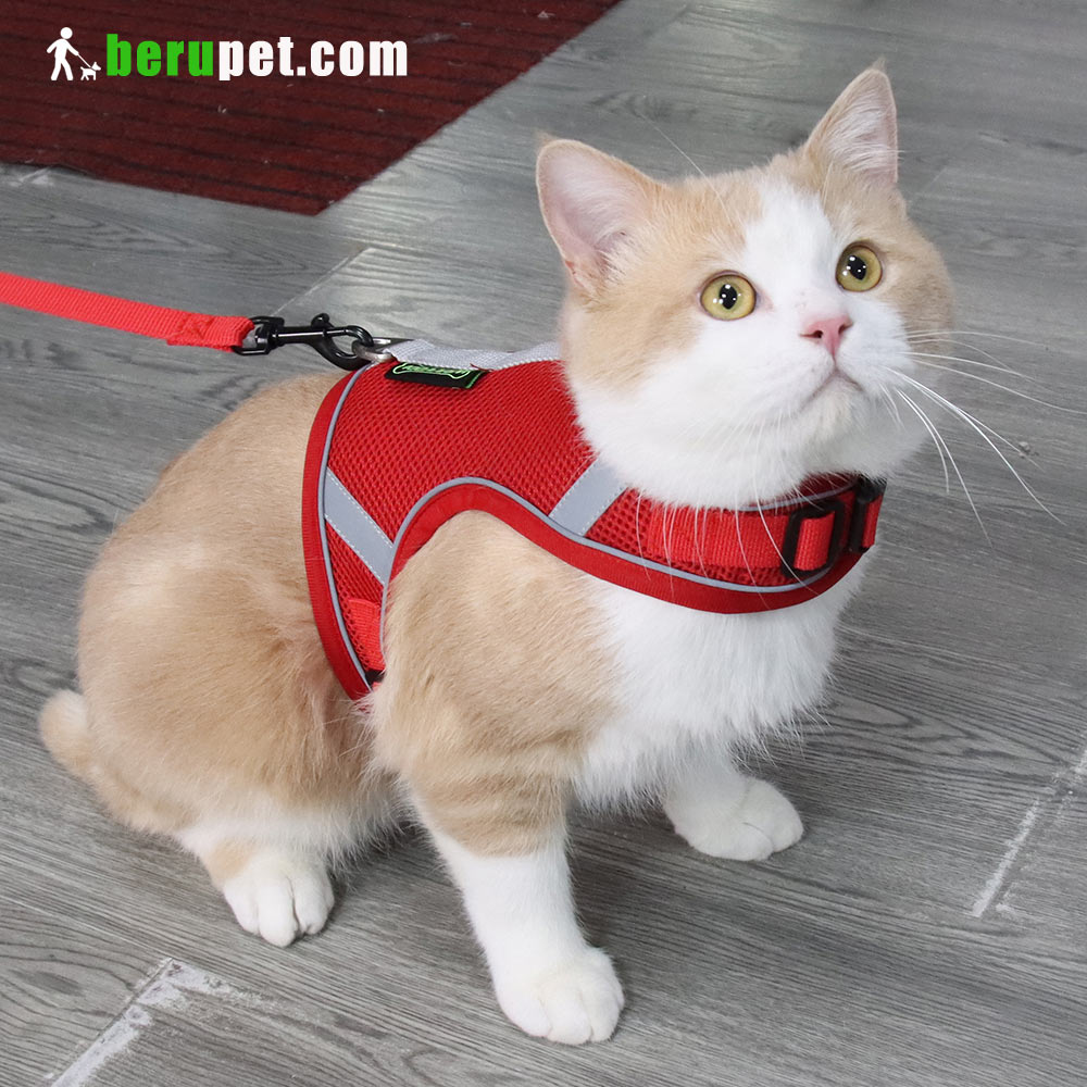 dog harness outdoor for Bomei and Cat 