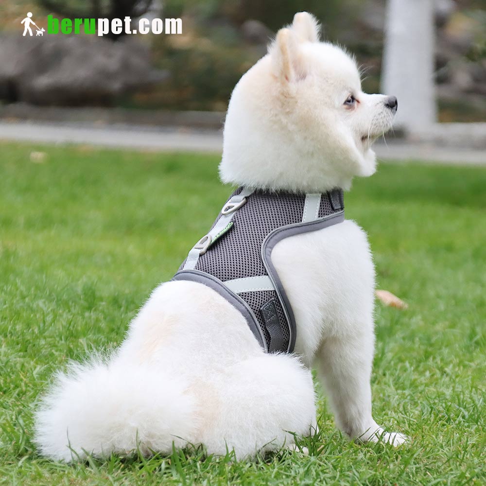 dog harness outdoor for Bomei and Cat 