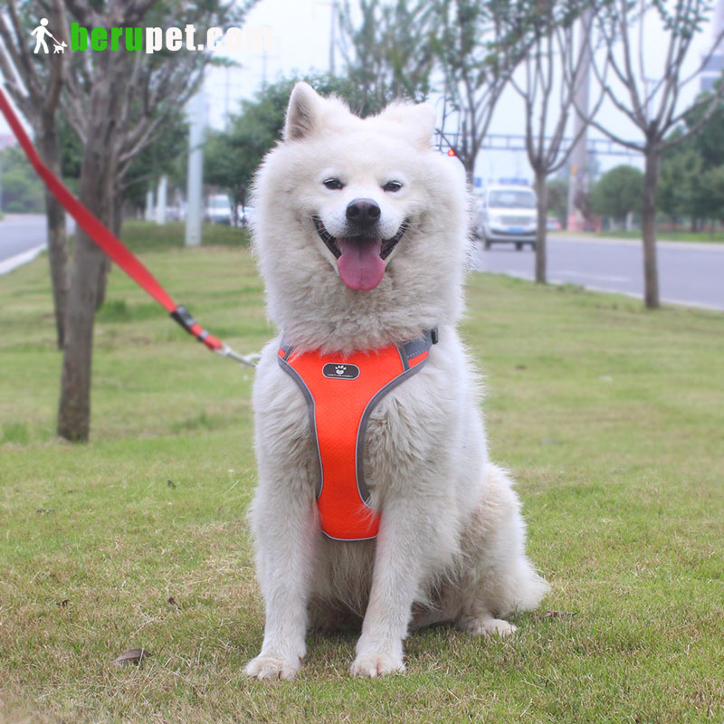 Vest type large dog harness with reflective dog traction rope waterproof Oxford cloth