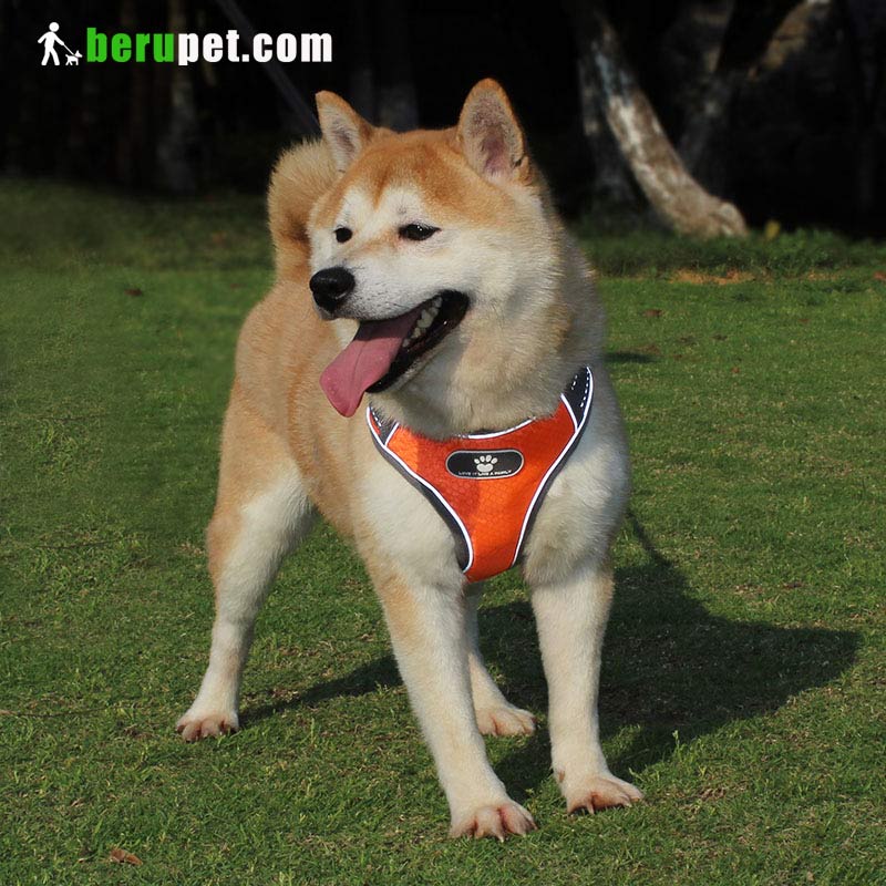 Vest type large dog harness with reflective dog traction rope waterproof Oxford cloth