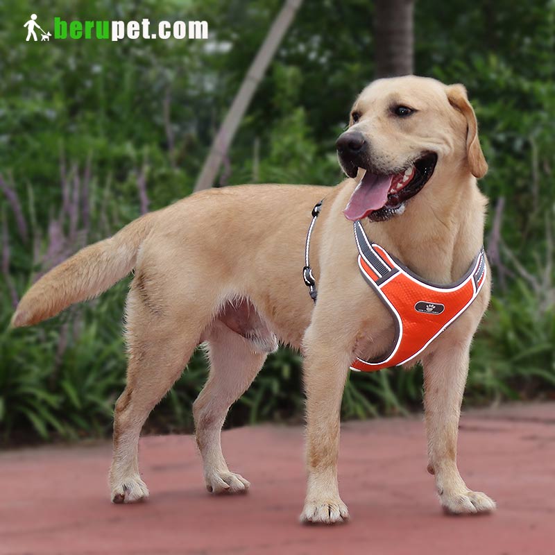 Vest type large dog harness with reflective dog traction rope waterproof Oxford cloth