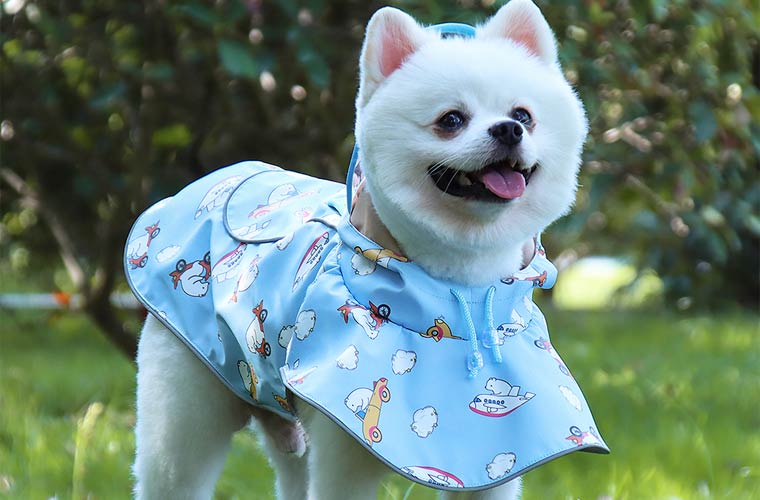 PU leather dog raincoat