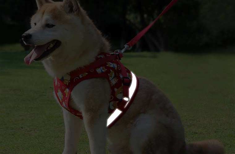 Vest type dog Harness reflective for puppy