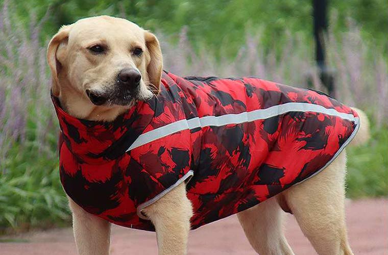 dog stormsuit: reflective, waterproof, thickened cotton clothes