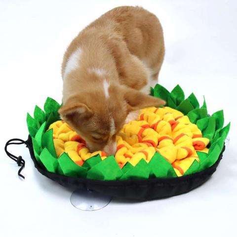 Pet Sniffing Pad