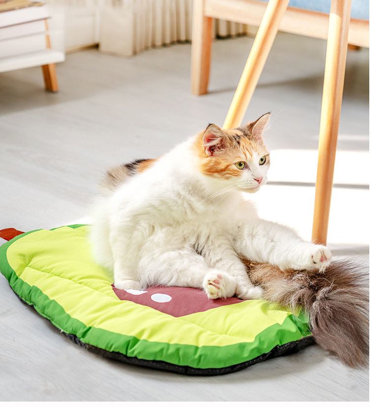 Manufacturer Fruit Design Cute Cat Pet Dog Cooling Mat