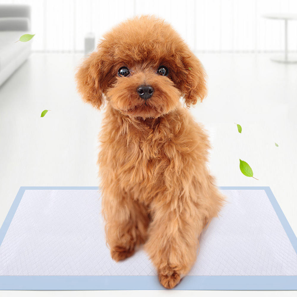 Dog Disposable Training Extra Large Pet Dog Puppy Pads