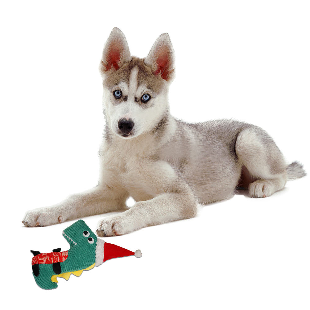 Manufacturers Wholesale Christmas Dinosaur Dog Plush Cotton Rope Bite Toys