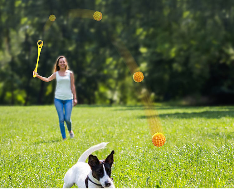 Manufacturer Custom Interactive Pet Dog Ball Launcher