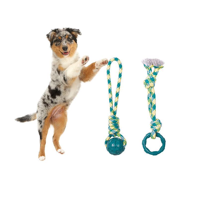 Custom New Design Jungle Series Durable Tpr Pet Toys Cotton Rope Dog Toys