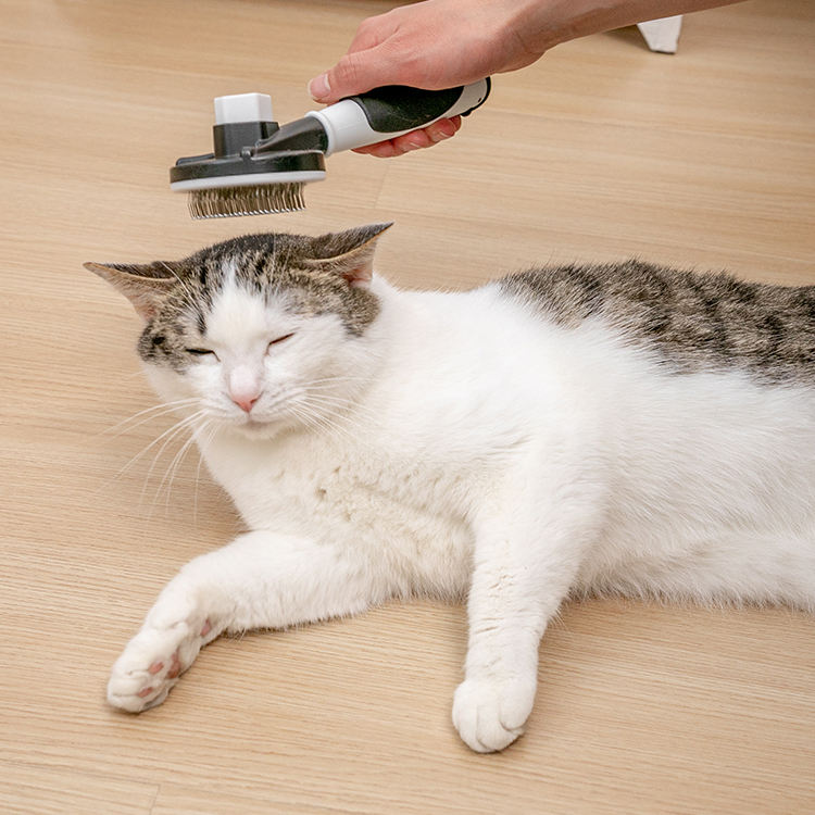 New Design One Key Pet Hair Remover Cat Grooming Brush