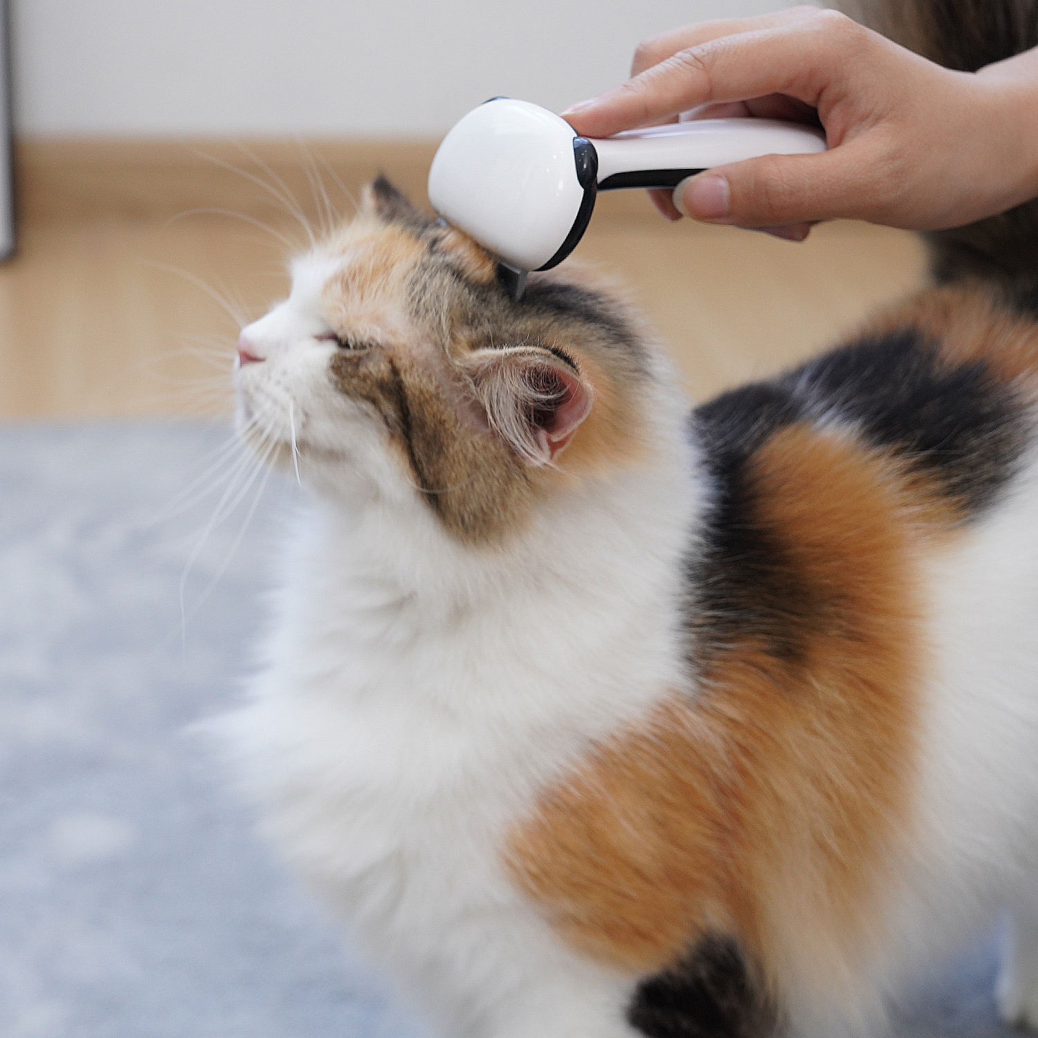 7 In 1 Pet Grooming Kit Cat Brush Abs Pet Massage Brush Comb