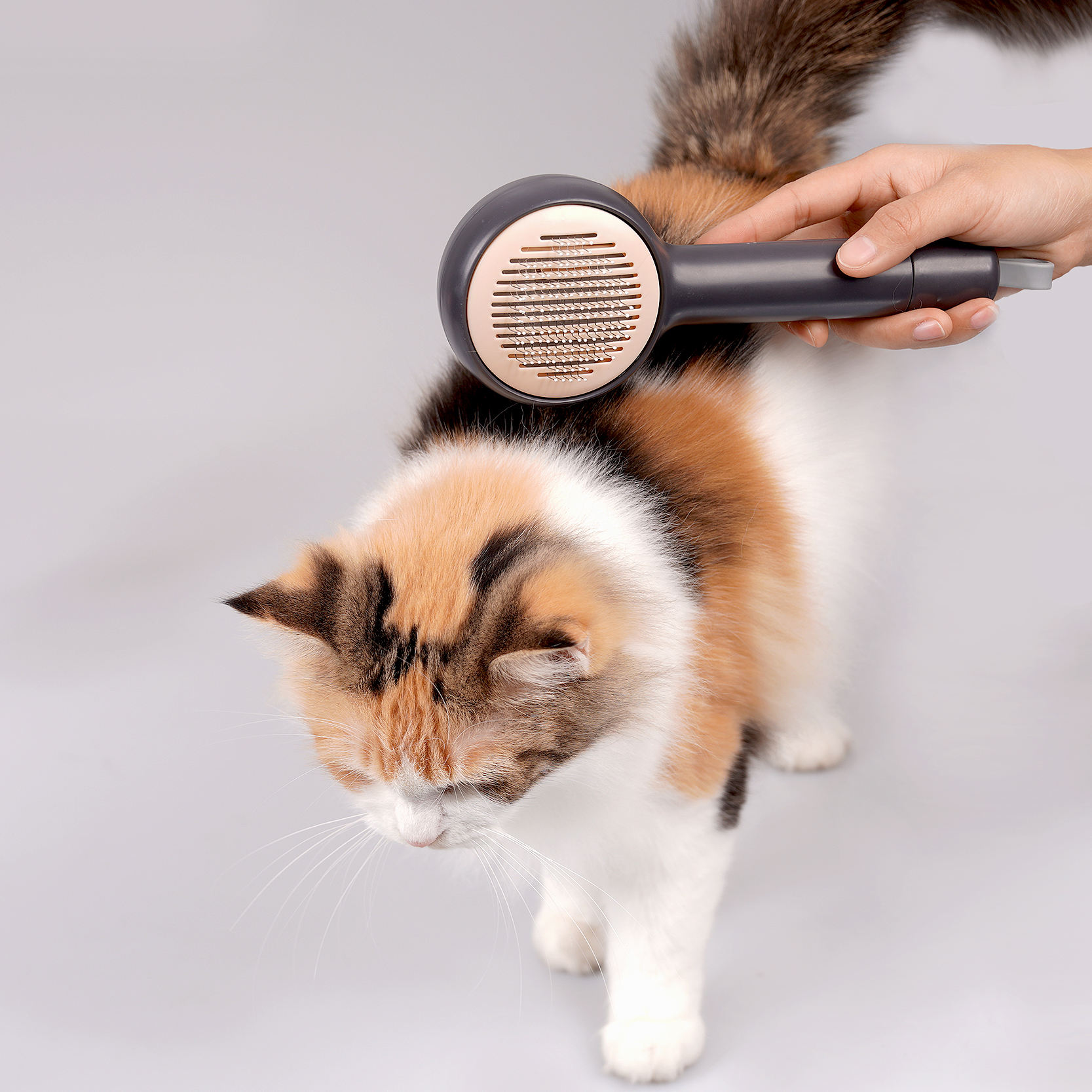 Wholesale Custom 2 In 1 Pet Deshedding Brush With Cat Comb
