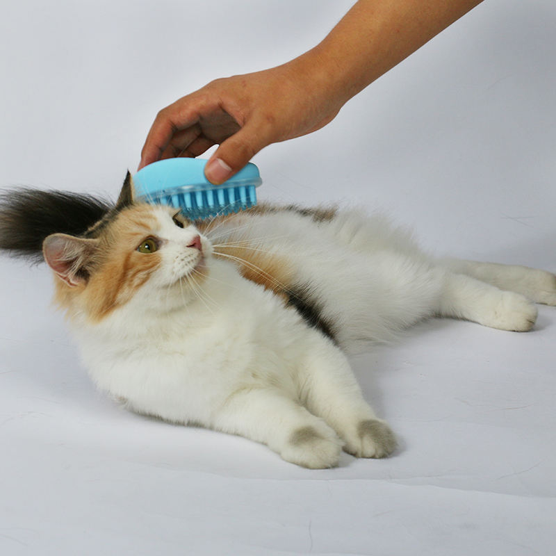 Wholesale Custom New Design Soft Tpr Pet Bathing Massage Comb Brush