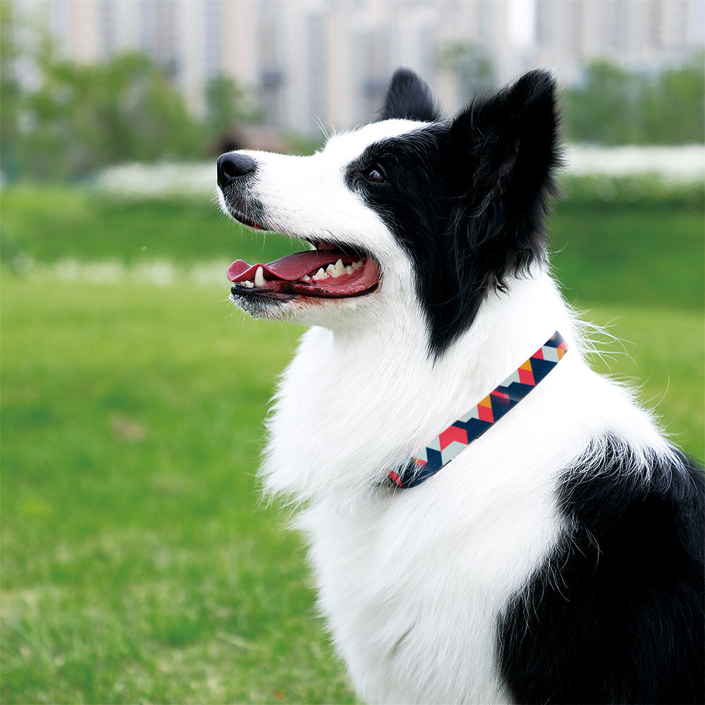 Adjustable Collars Para Perros Custom Waterproof Training Designer Dog Pet Collars