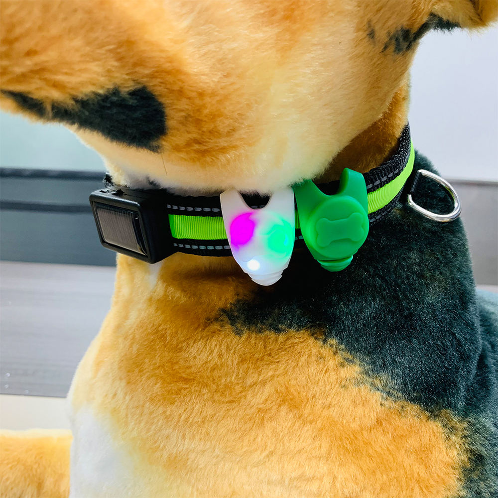 Wholesale Custom New Design Anti-lost Led Light Dog Tag Pet Collar Accessories