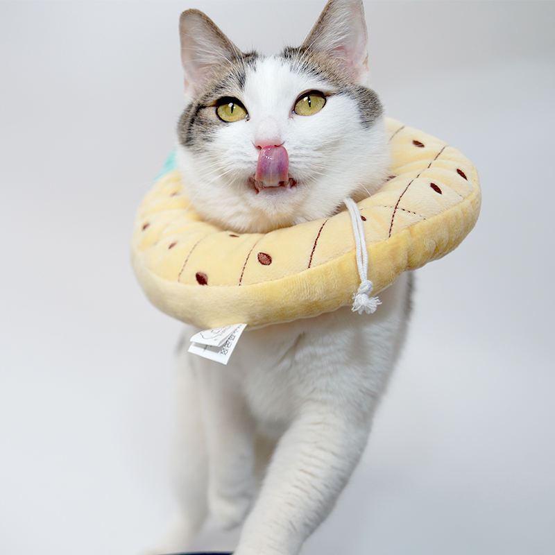 Fashion Pet Dog Elizabeth Collar Cute Recovery Healing Protective Cat E-collar