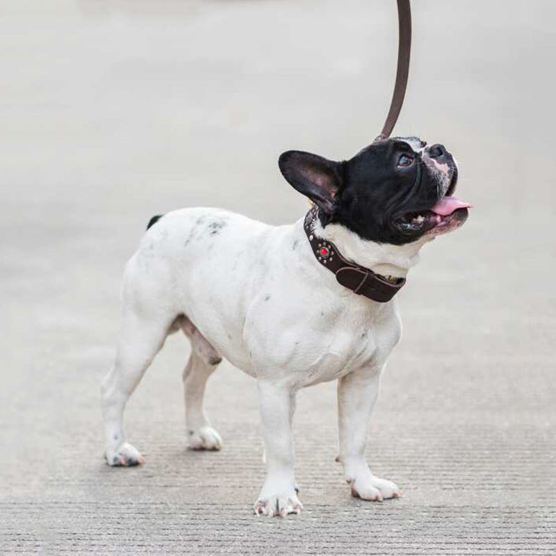 Wholesale Custom New Design Fashion Leather Dog Collar Adjustable Jeweled Pet Collar For Dogs