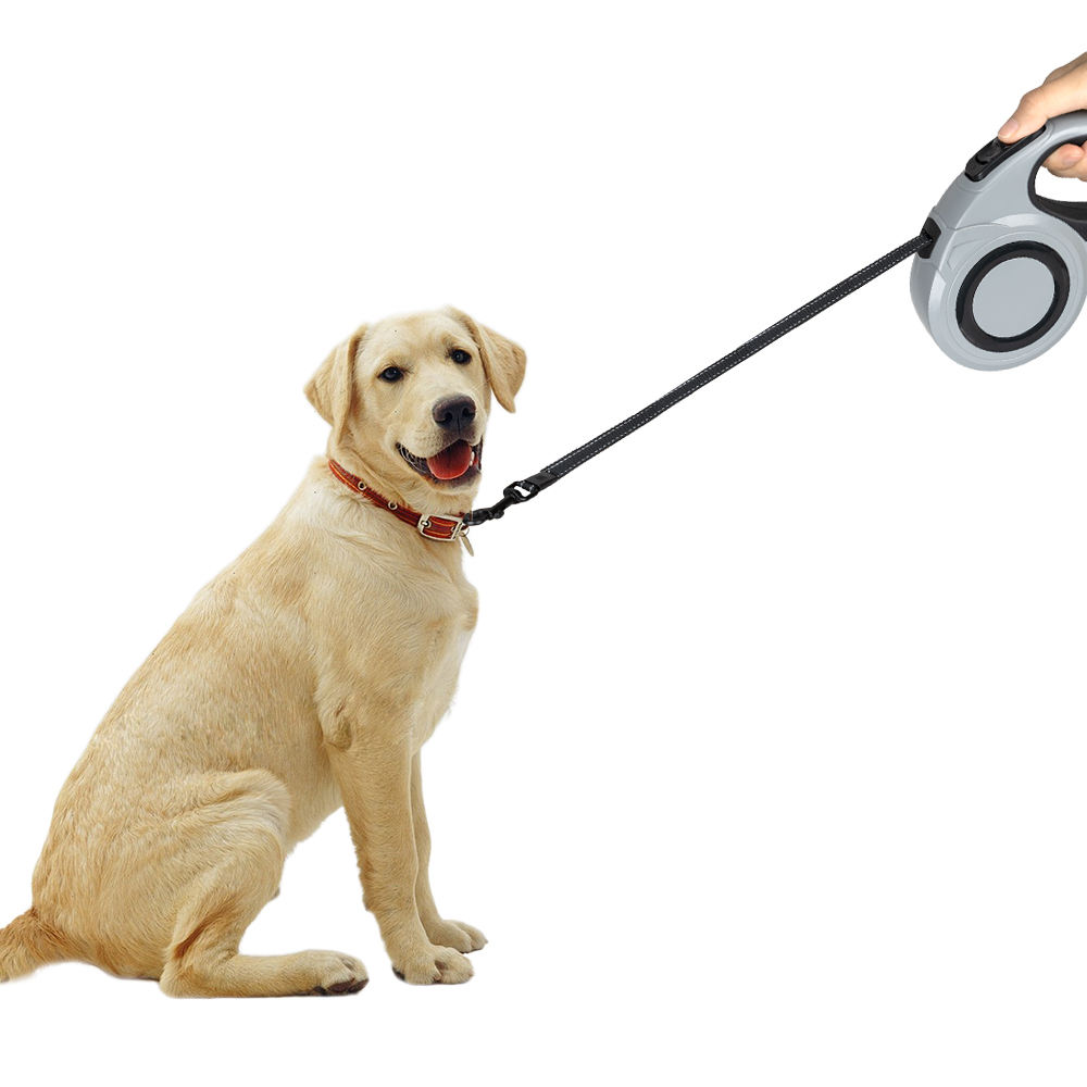 2 In 1 Large Dog Leash With Poop Bag Dispenser Dog Retractable Leash