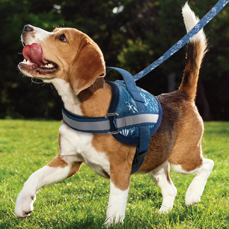 Wholesale Custom Comfortable Adjustable Reflective Dog Harness Outdoor Pet Harness