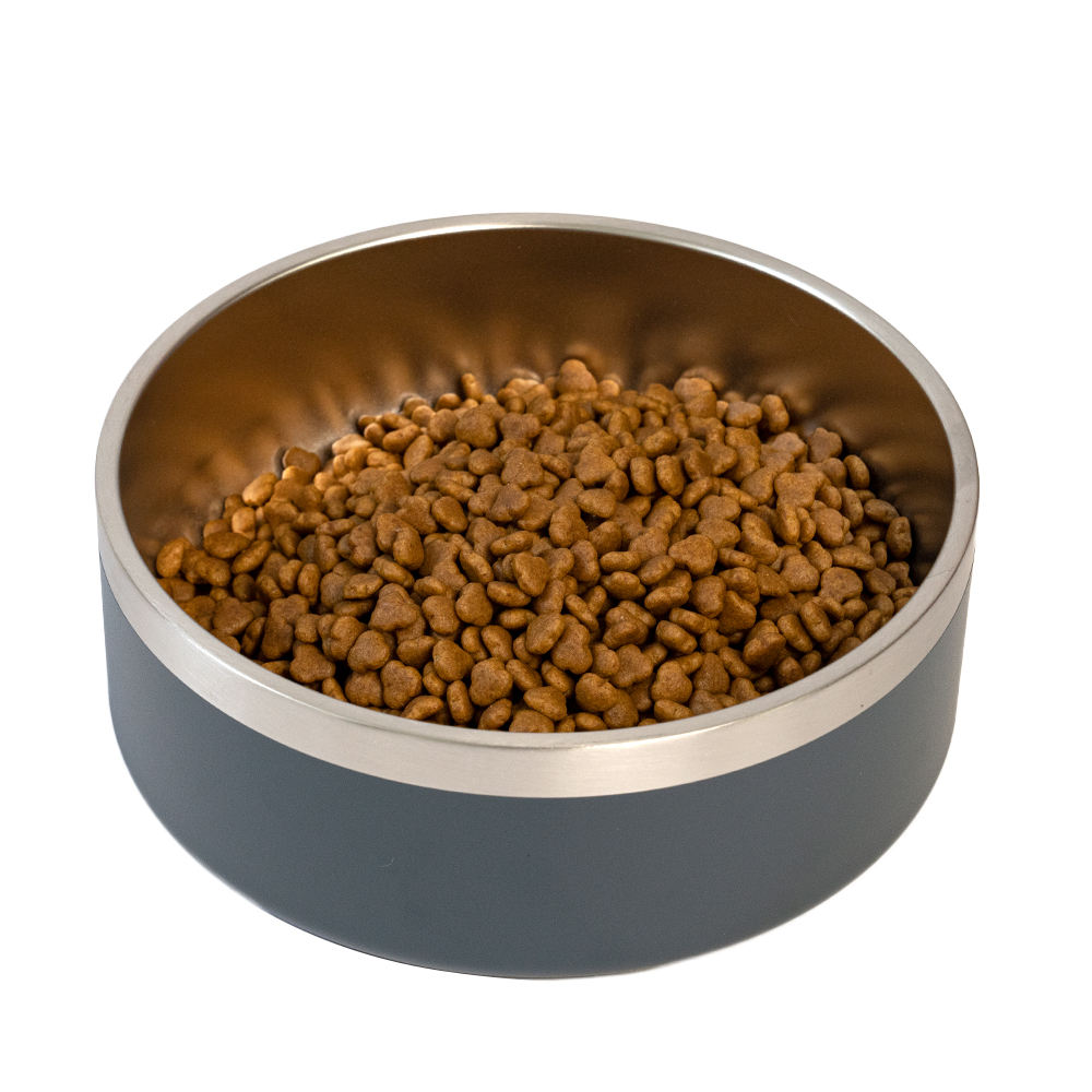 Non-slip Bottom Stainless Steel Multicolor Pet Bowl
