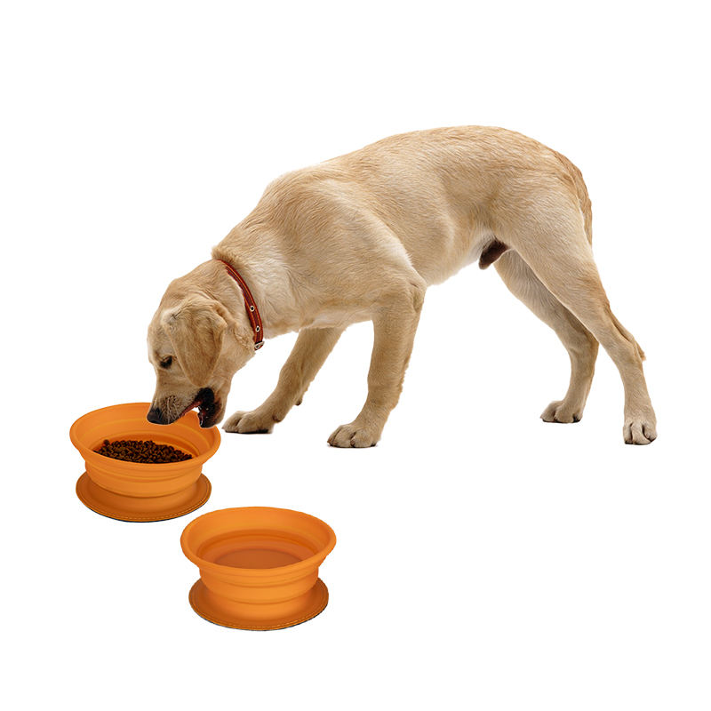 Wholesale Custom Collapsible Silicone Pet Travel Feeder Foldable Dog Bowl