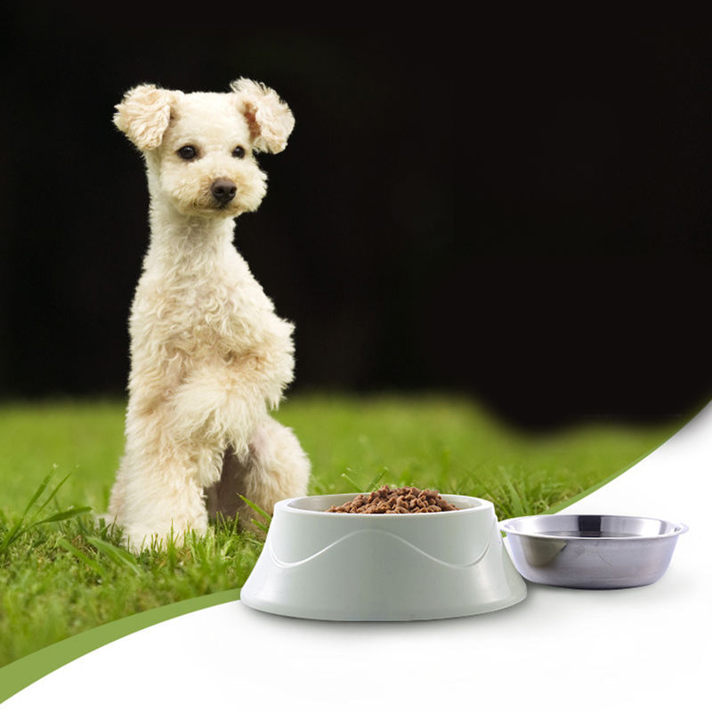 Wholesale Custom New Design Stainless Steel Dog Bowl Colorful Eco-friendly Pp Non-slip Pet Bowl