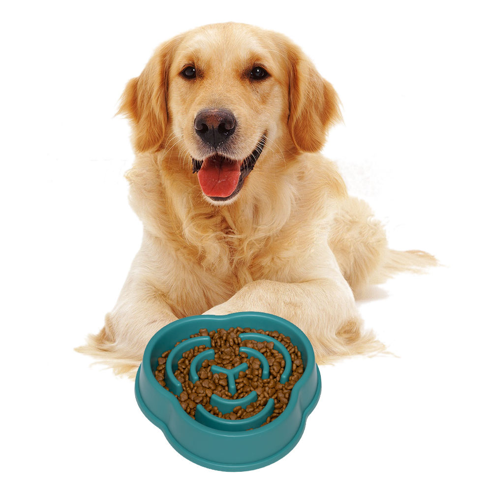 New Design Shape Hot Selling Pet Pet Slow Feeder Dog Slow Bowl