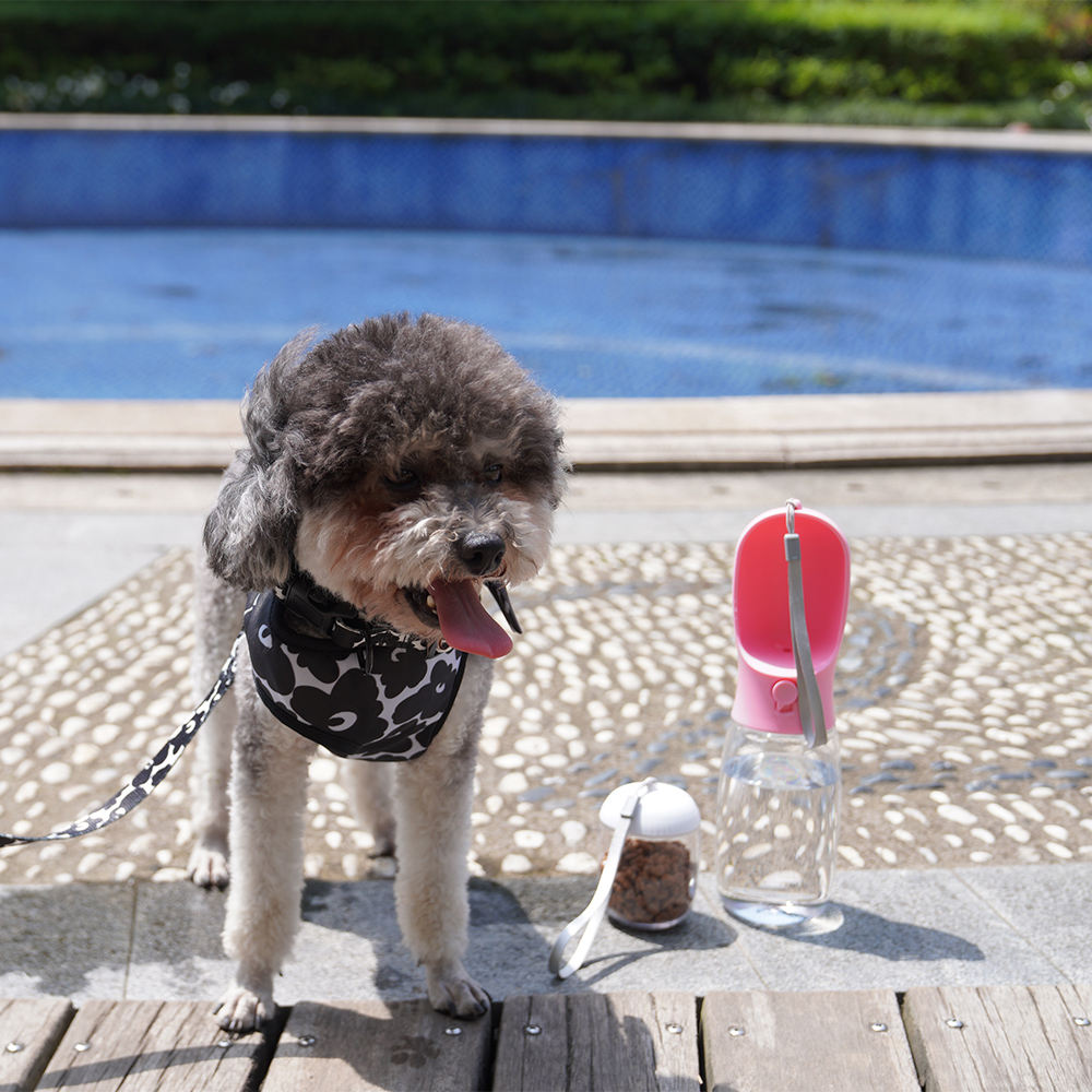2 In 1 Pet Water And Food Bottle Dog Water Bottle