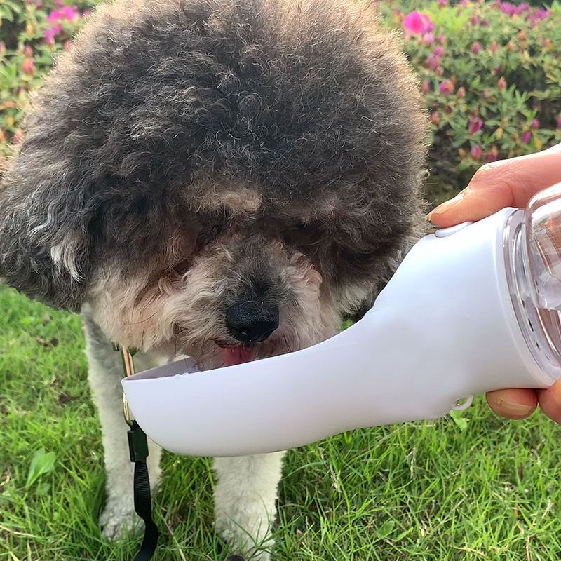 Custom Portable Dog Water Bottle For Outdoor And Travel