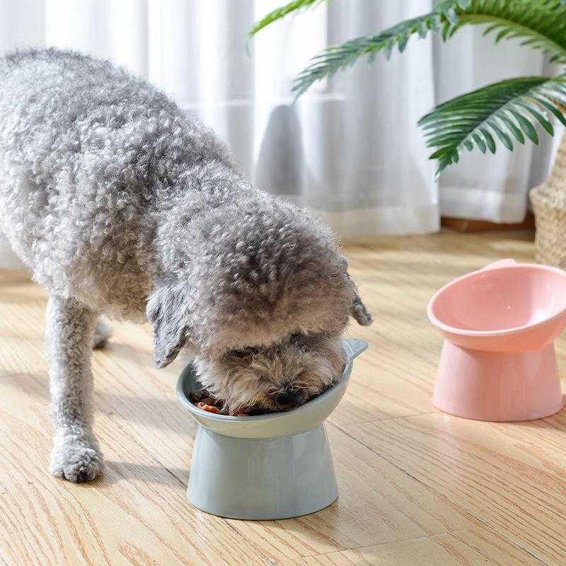 Best Selling Plastic Pet Cat Dog High-footed Oblique Mouth Anti Overturning Cup Pet Feeder Bowl