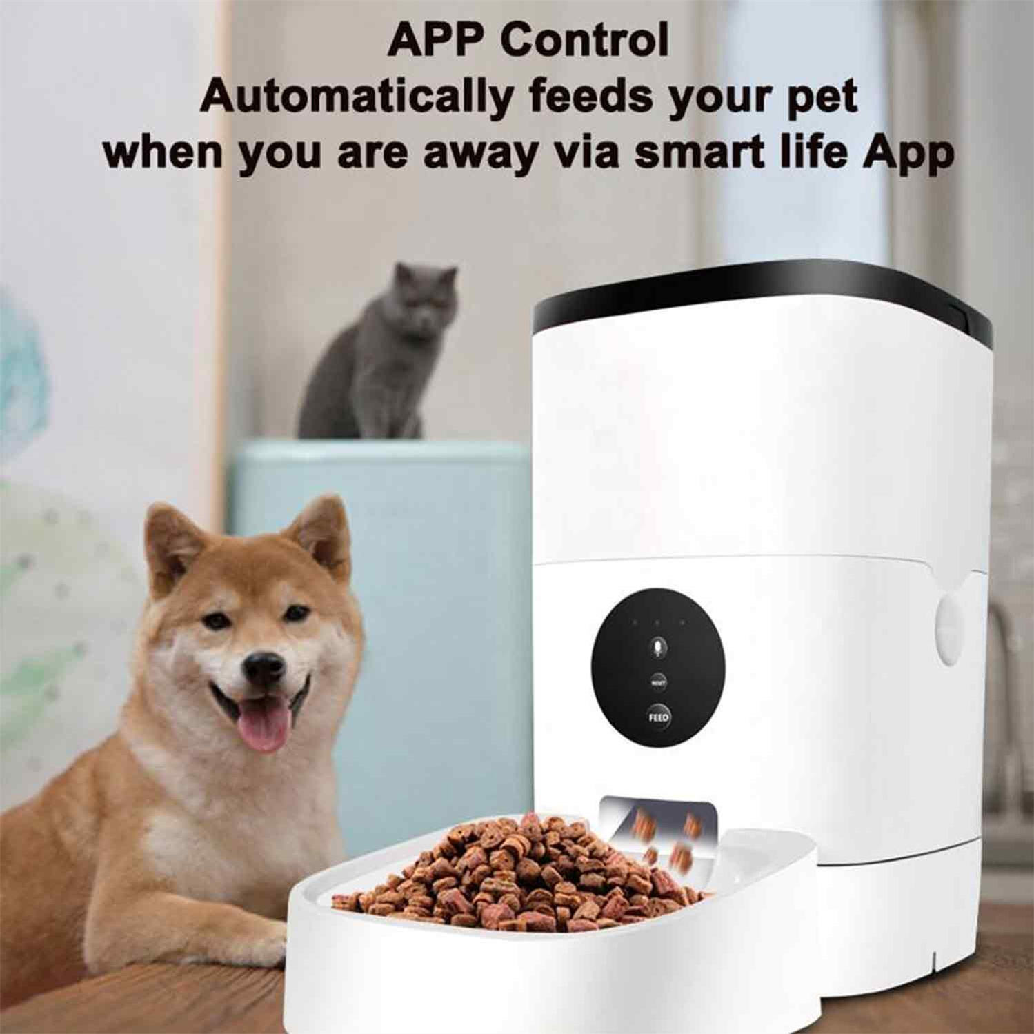 4l Custom Logo Wifi Mobile App Control Dog Food Eating Bowl Automatic Smart Pet Feeder
