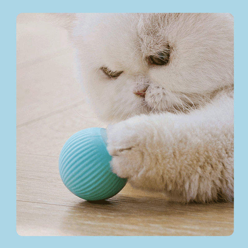 Best Selling Smart Cat Toys Automatic Rolling Ball Electric Led Light Interactive Cats Training Rotating Toys Ball